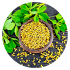 Fenugreek and Gymnema